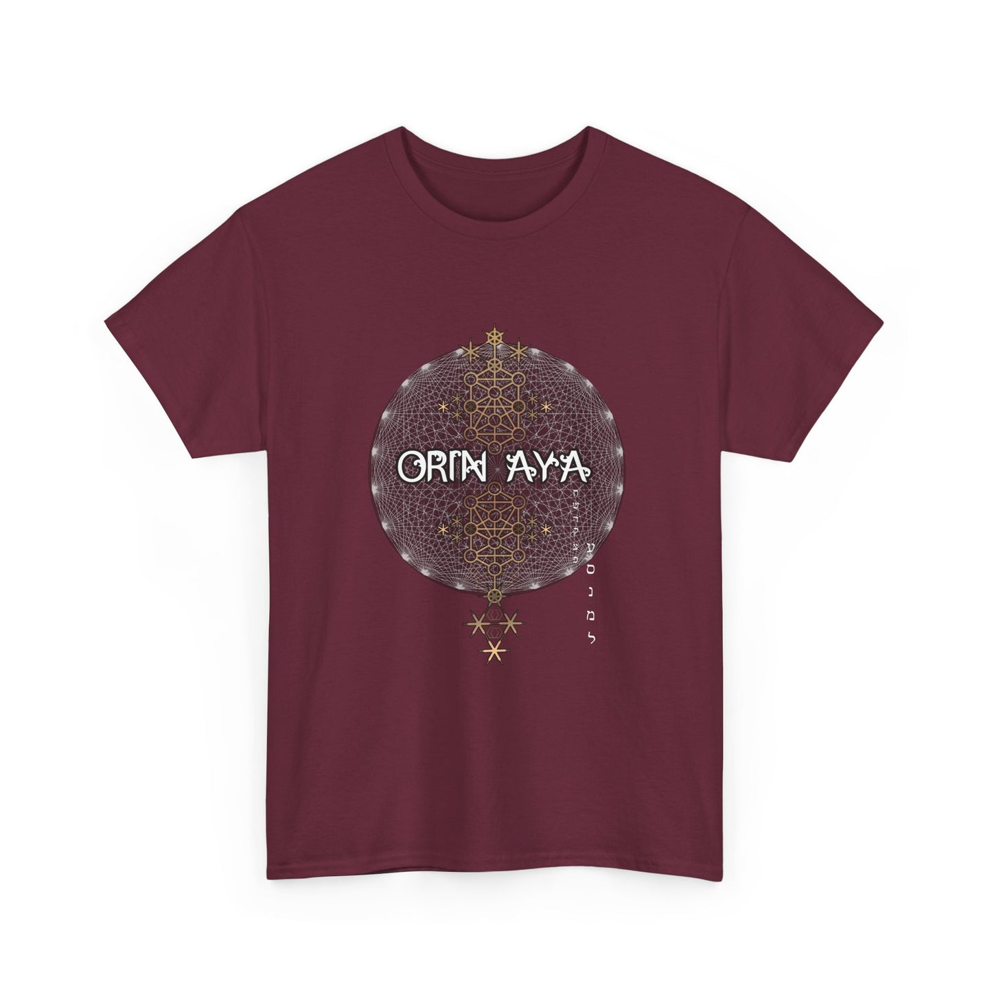 Unisex 231 gates Heavy Cotton Tee