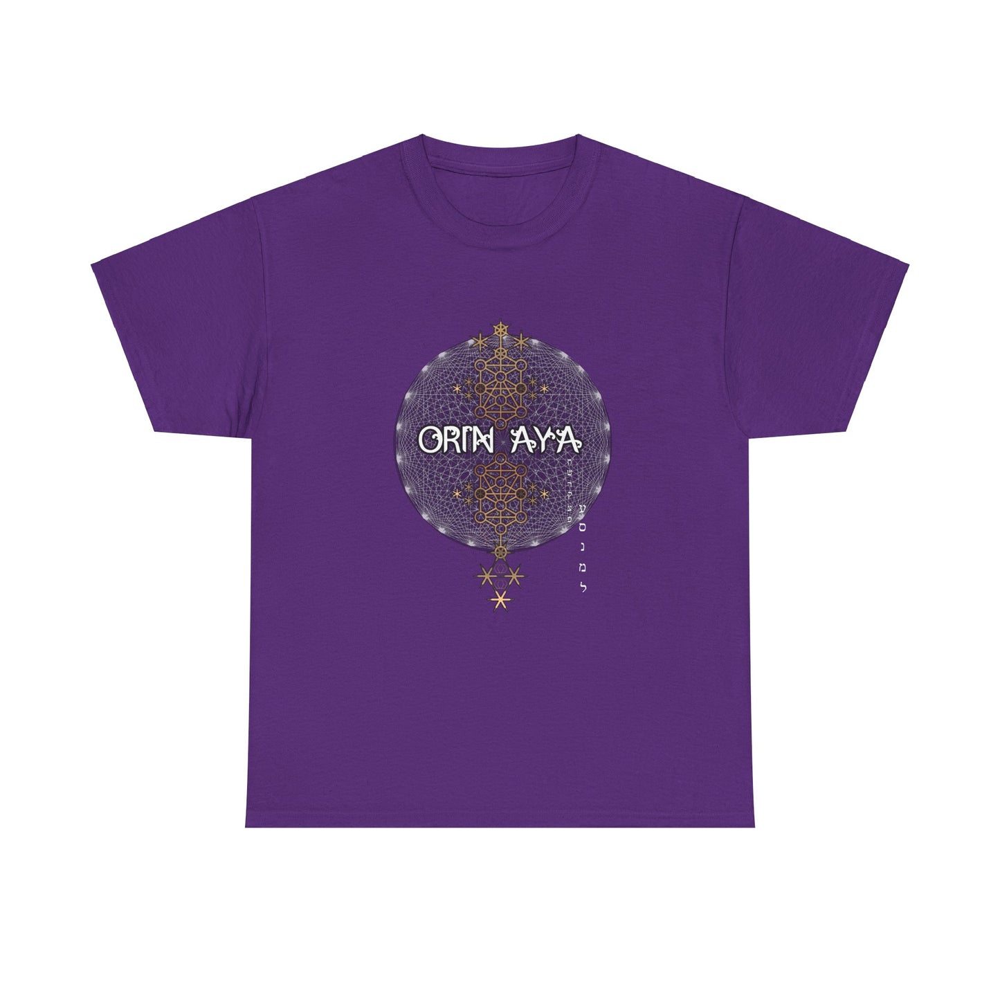 Unisex 231 gates Heavy Cotton Tee
