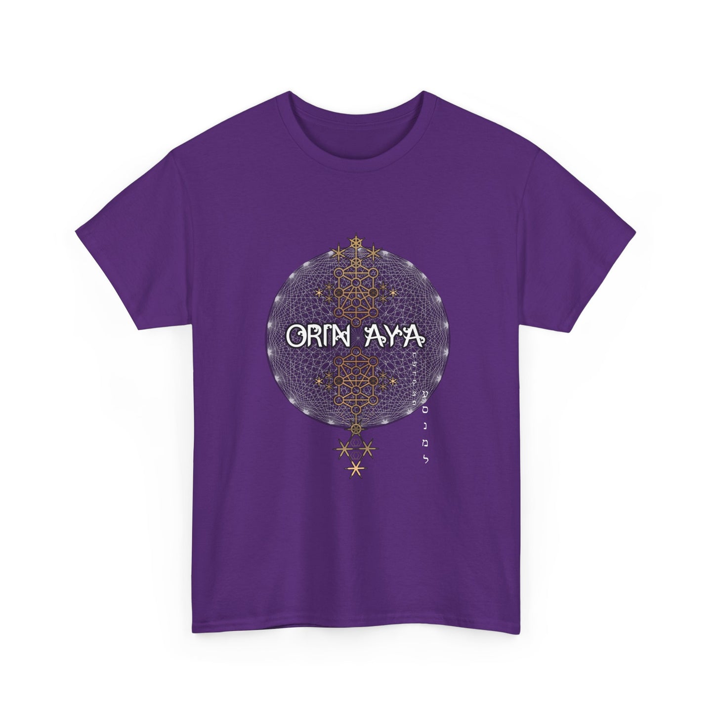 Unisex 231 gates Heavy Cotton Tee